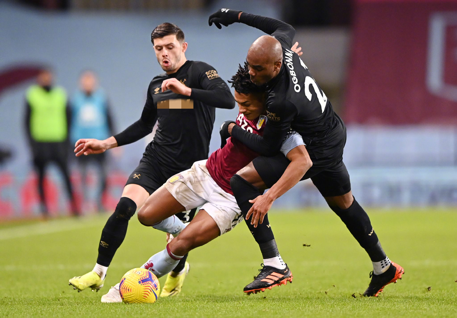 归化与本土 归化与本土